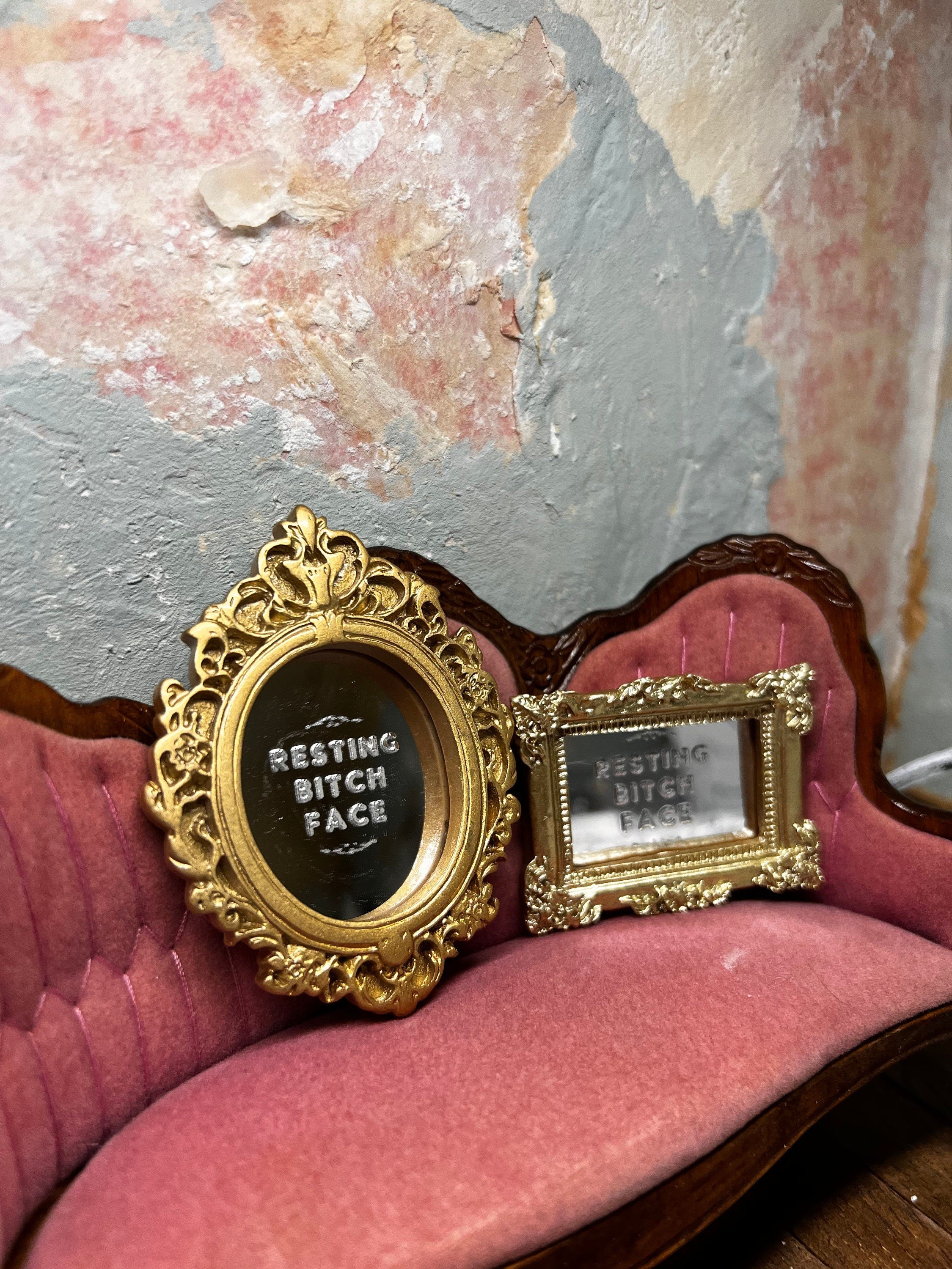 dollhouse miniature Resting Bitch Face mirror dollhouse decor can be used 1/12 and 1/6 scale