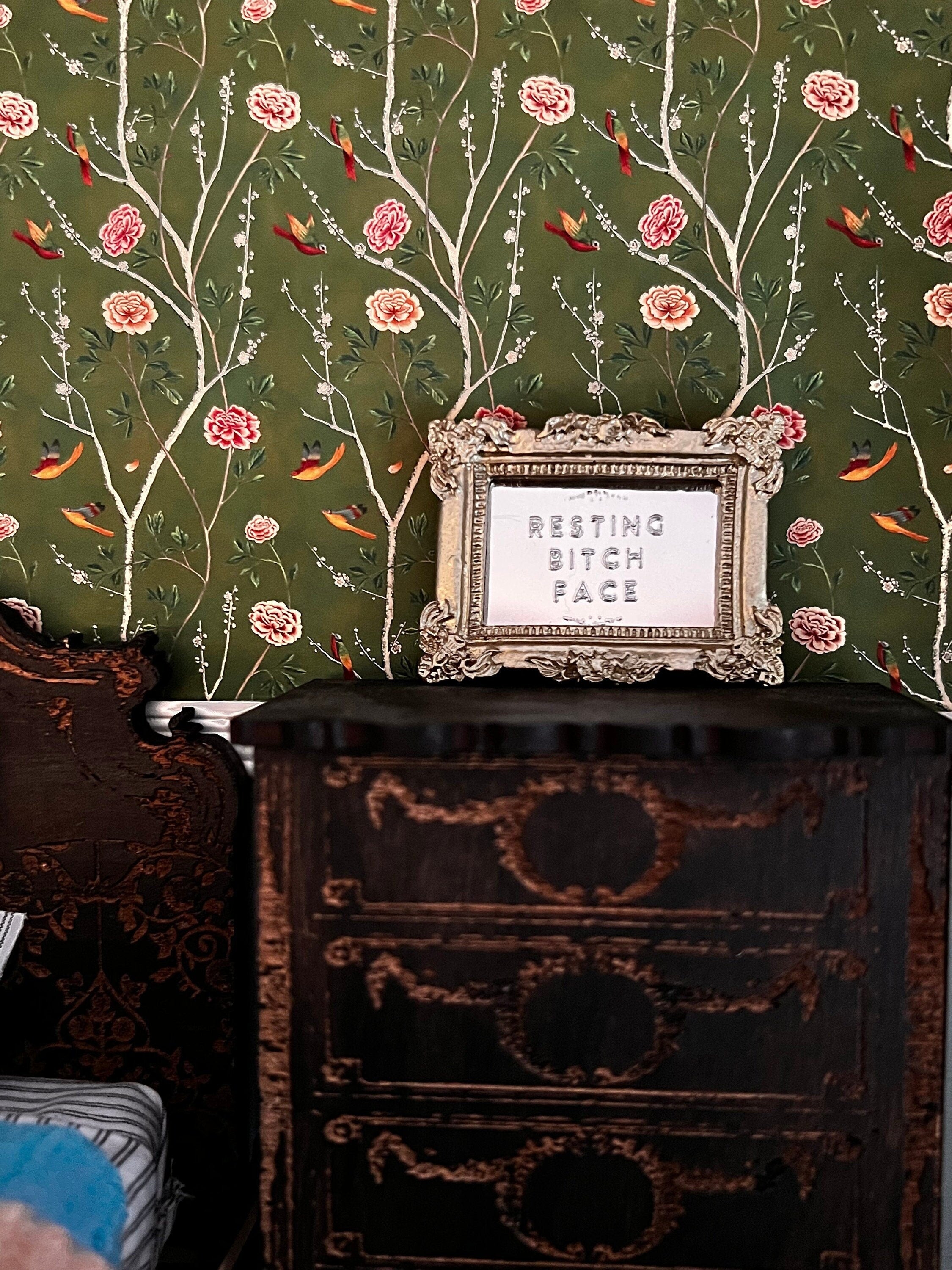 dollhouse miniature Resting Bitch Face mirror dollhouse decor can be used 1/12 and 1/6 scale