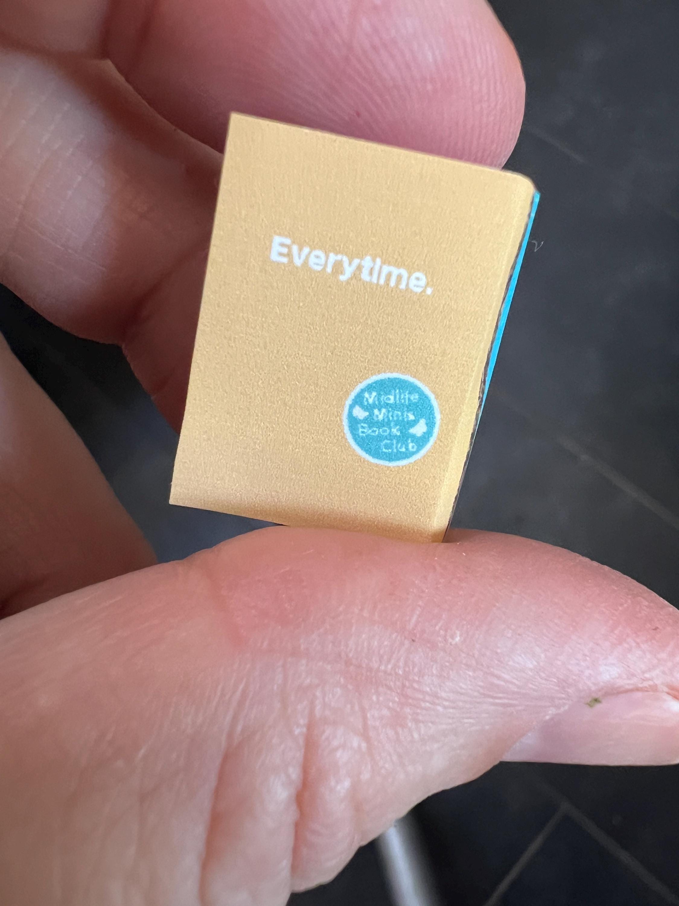 Dollhouse Miniature book, Bat Kitty, 1/12 scale decor,  1/6 book accessory