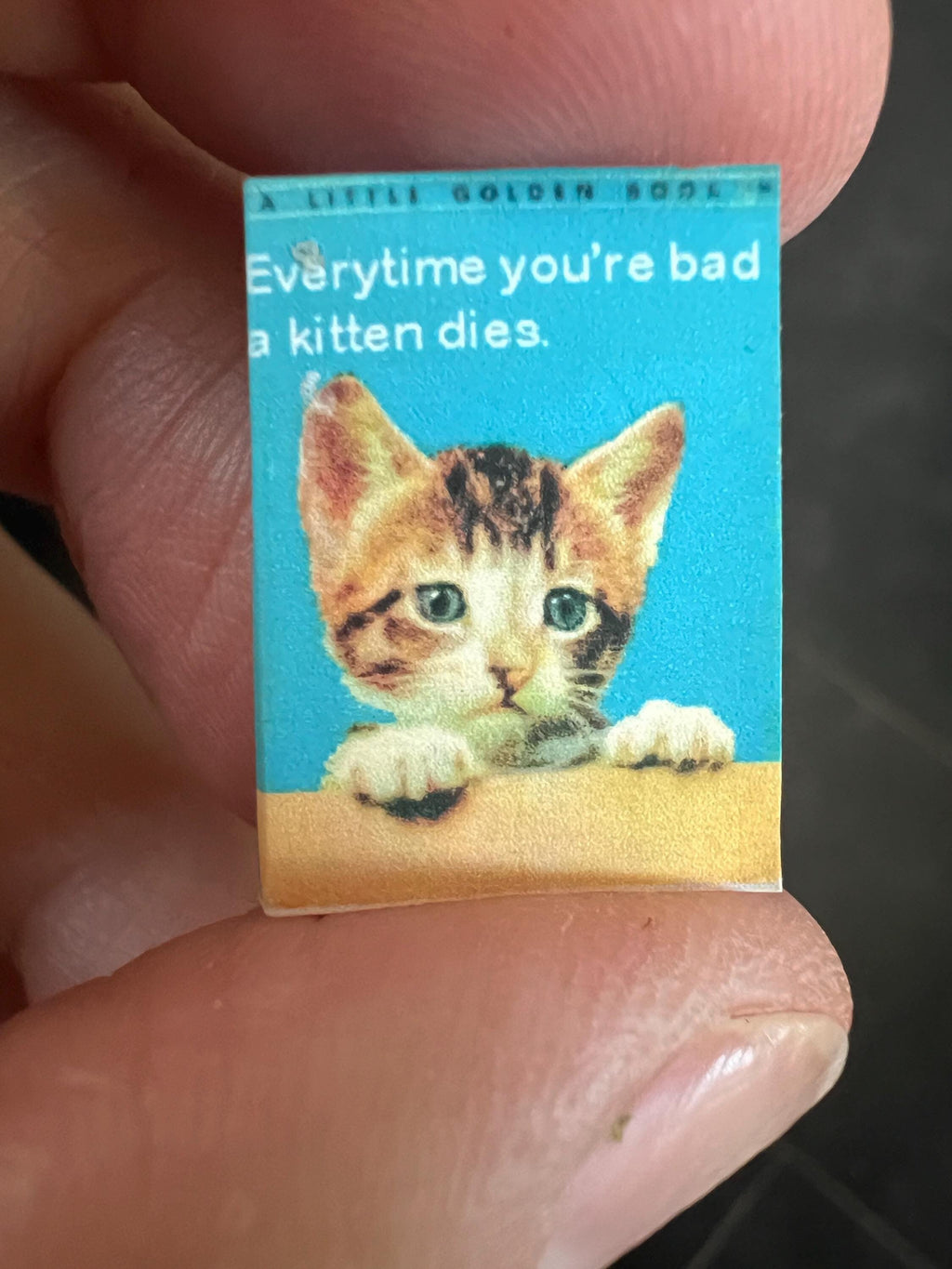 Dollhouse Miniature book, Bat Kitty, 1/12 scale decor,  1/6 book accessory