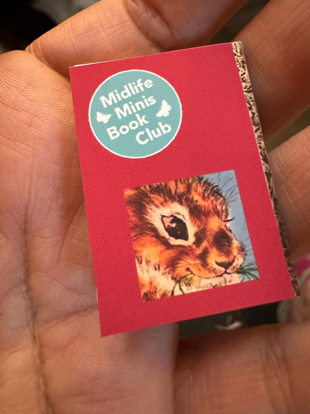 Dollhouse Miniature book, High Paws dollhouse miniature book 1/12 decor 1/6 accessory bookshelf