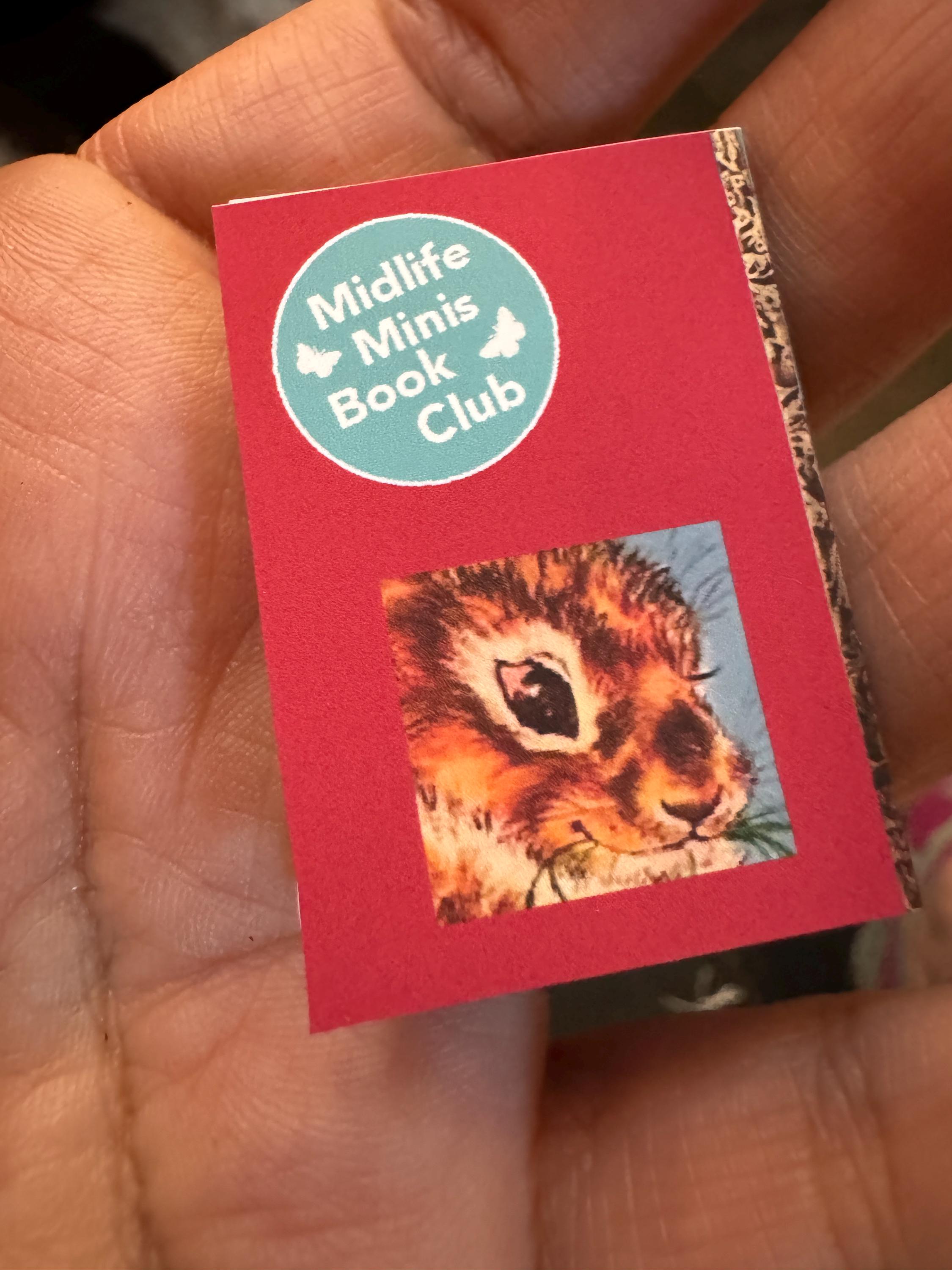 Dollhouse Miniature book, High Paws dollhouse miniature book 1/12 decor 1/6 accessory bookshelf