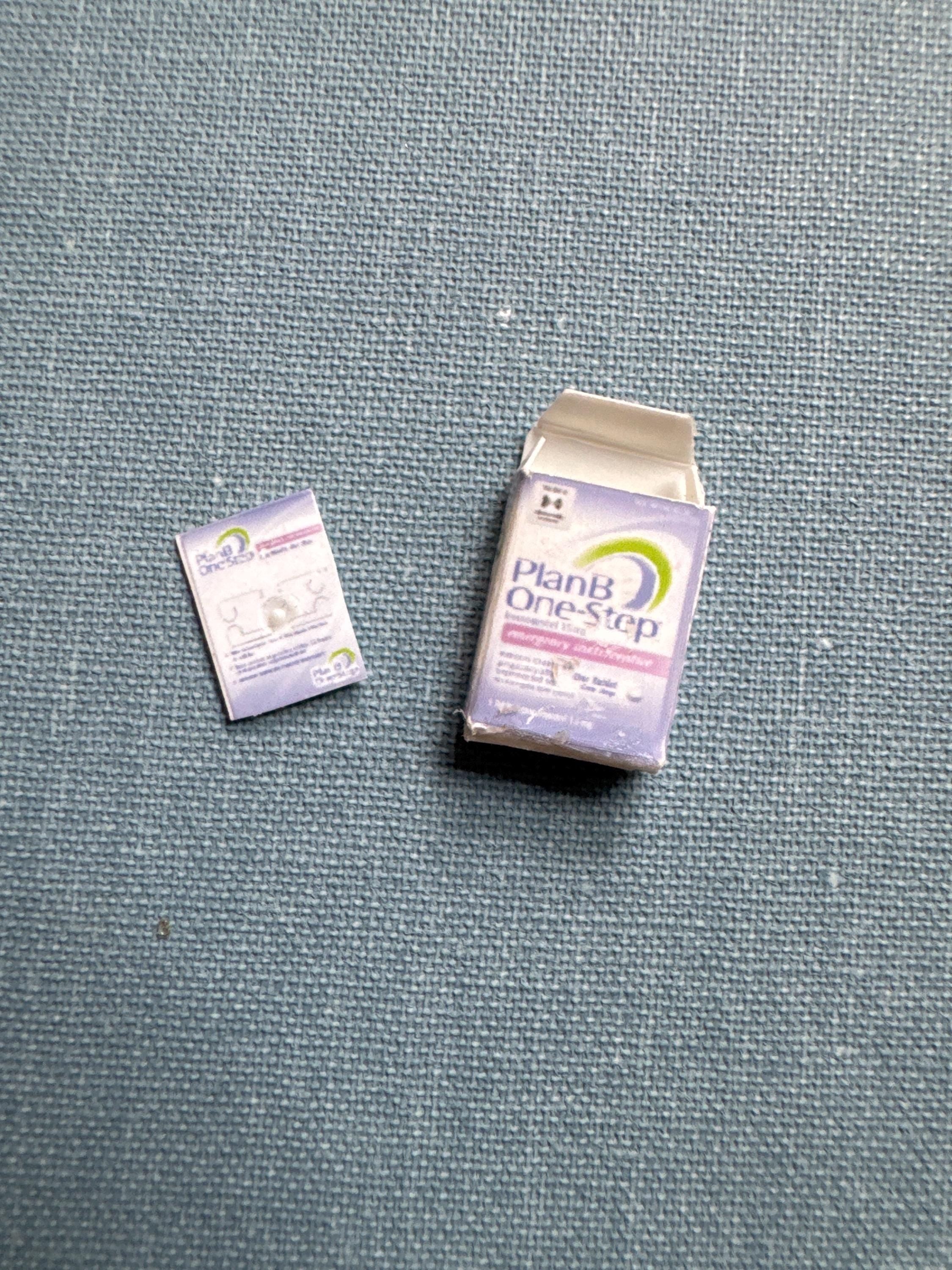 dollhouse miniature Plan B medicine 1/12 decor bathroom accessory