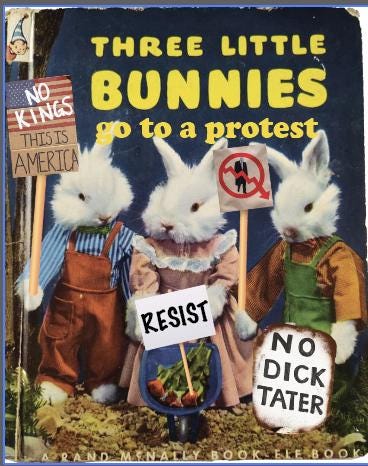 Dollhouse Miniature book, Protest bunnies! dollhouse miniature book 1/12 book dollhouse 1/6 scale book living room 1/12 bookcase political gifts hands off protest