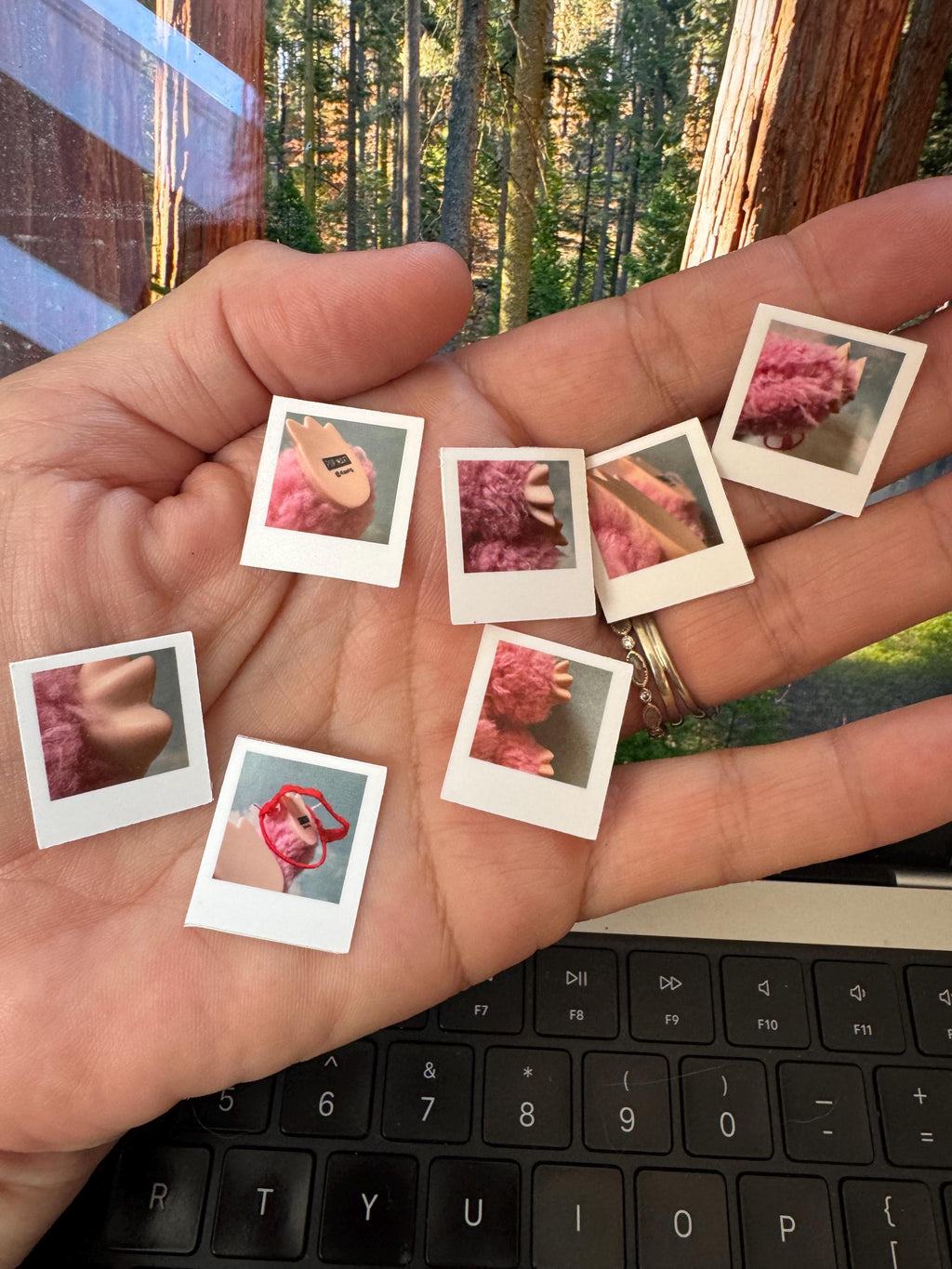 Labubu accessory Only Fans Polaroids, 1/6 Labubu decor